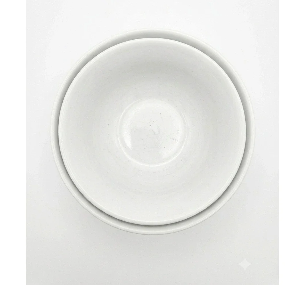 Pottery Barn Outlet Suppertime White Ceramic Bowls Set of 2 Microwave Safe